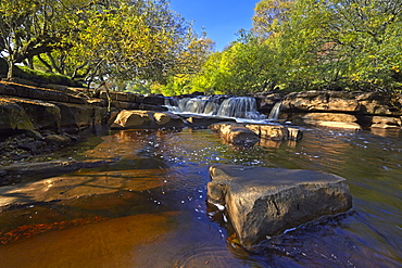 Autumn at lower Wainwath Falls, Swaledale, Yorkshire Dales, North Yorkshire, England, United Kingdom, Europe