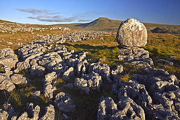 Ingleborough seen from a limestone boulder on Twistleton Scar, Yorkshire Dales National Park, North Yorkshire, England, United Kingdom, Europe