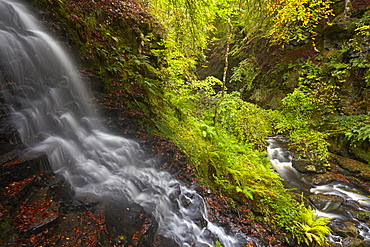 A stream cascading into the Moness Burn which flows through the Birks of Aberfeldy, Perthshire, Scotland, United Kingdom, Europe