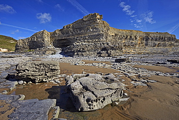 The exposed eroded cliffs of the Glamorgan Heritage Coast, Monknash, South Wales, United Kingdom, Europe