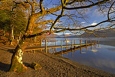 Autumn at Low Brandelhow jetty on Derwentwater in the Lake District National Park, UNESCO World Heritage Site, Cumbria, England, United Kingdom, Europe