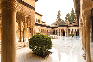 Court of the Lions at the Nasrid Palace, the Alhambra, UNESCO World Heritage Site, Granada, Andalucia, Spain, Europe