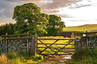 Gated path with old barn in The Peak District, Wildboarclough, Cheshire, England, United Kingdom, Europe