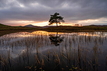 Kelly Hall Tarn at twilight, Lake District, Cumbria, England,