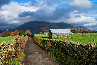 Single track road with stone barn in the Lake District National Park, Keswick, Cumbria, England,