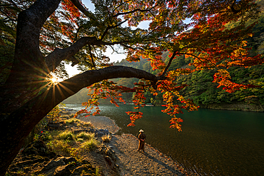 Katsuragawa River in autumn with traditional Japanese dressed man, Arashiyama, Kyoto, Japan