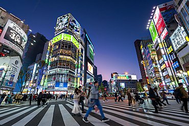 Pedestrians crossing on busy road at night, Shinjuku district, Tokyo, Japan