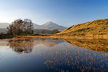 Evening view of Kelly Hall Tarn and the Coniston Old Man, Lake District National Park, Cumbria