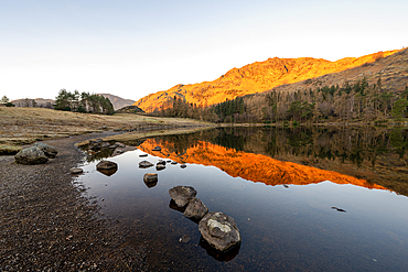 Sunrise light over Blea Tarn in spring, Lake District National Park Cumbria