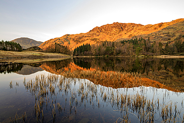 Sunrise light over Blea Tarn with mirror conditions in spring, Lake District National Park Cumbria