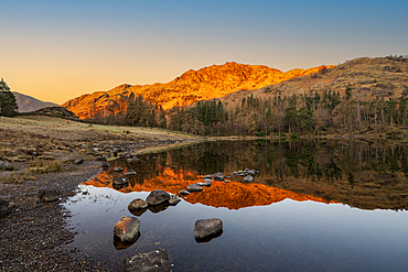 Sunrise over Blea Tarn with mirror conditions in spring, Lake District National Park, Cumbria