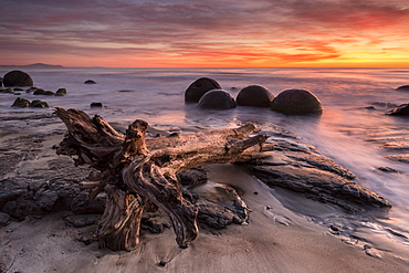 The Moeraki Boulders at Moeraki Beach, Otago, South Island, New Zealand, Pacific