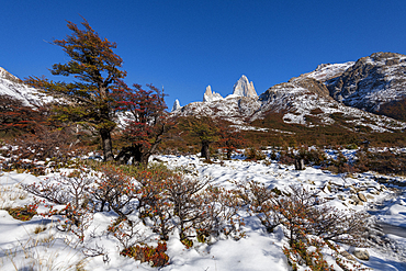 Mount Fitz Roy set with autumn colours and snow, UNESCO World Heritage Site, El Chalten, Patagonia, Argentina, South America