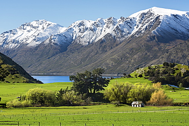 Rural scene of Lake Wanaka backed by snow capped mountains, Wanaka, Otago, South Island, New Zealand, Pacific