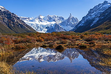 Autumn colours in Los Glaciares National Park, UNESCO World Heritage Site, with reflections of Cerro Torro, Patagonia, Argentina, South America