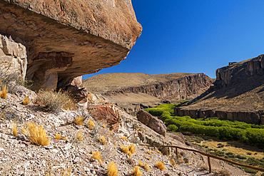 Pinturas Canyon, Cave of the Hands, UNESCO World Heritage Site, Patagonia, Province of Santa Cruz, Argentina, South America