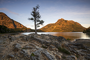 A typical Patagonian landscape, Bariloche, San Carlos de Bariloche, Patagonia, Argentina, South America