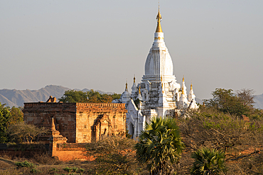 Stupas in afternoon light, Bagan (Pagan), Myanmar (Burma), Asia