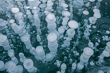 Detail of frozen methane bubbles at Lake Abraham, Kootenay Plains, Alberta, Canadian Rockies, Canada, North America