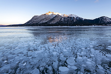 Methane gas bubbles at Lake Abraham, Kootenay Plains, Alberta, Canadian Rockies, Canada, North America