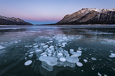 Trapped Methane bubbles at Lake Abraham, Kootenay Plains, Alberta, Canadian Rockies, Canada, North America