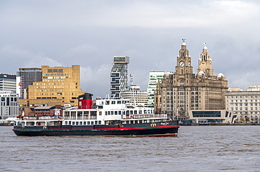 The Mersey ferry Royal Iris sailing passed the Liverpool waterfront, Liverpool, Merseyside, England, United Kingdom, Europe