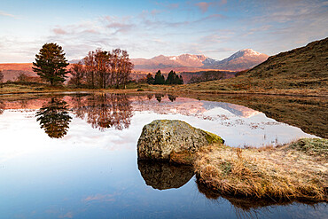 Kelly Hall Tarn and view of Coniston Old Man reflected, Lake District National Park, UNESCO World Heritage Site, Cumbria, England, United Kingdom, Europe