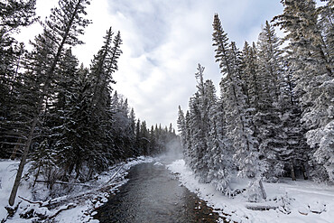 Bow River in winter, Maligne Canyon, Alberta, Canada, North America