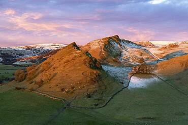 Grazing sheep on Parkhouse Hill in winter, Peak District, Derbyshire, England, United Kingdom, Europe