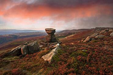 The Salt Cellar Rock, Derwent Edge, with heather moorland, Peak District National Park, Derbyshire, England, United Kingdom, Europe