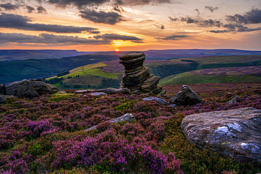 The Salt Cellar rock formation with blanket of heather at sunset, Derbyshire, England, United Kingdom, Europe