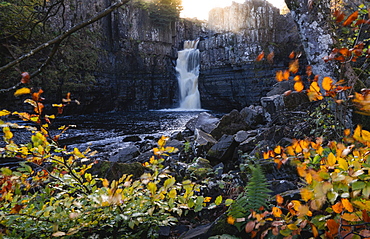 High Force and River Tees framed by autumn leaves, North Pennines AONB (Area of Outstanding Natural Beauty), Middleton-in-Teesdale, Teesdale, County Durham, England, United Kingdom, Europe