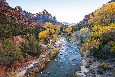 View along the Virgin River to the Watchman, autumn, Canyon Junction, Zion National Park, Utah, United States of America, North America