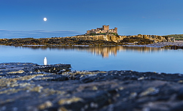 Moonlit Bamburgh Castle reflected in still water at dusk, Bamburgh, Northumberland, England, United Kingdom, Europe