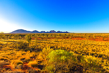 Mount Olga (Kata Tjuta) in Uluru-Kata Tjuta National Park, UNESCO World Heritage Site, Australian Outback, Northern Territory, Australia, Pacific