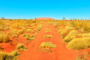 Red sand path in dry bush landscape in Australian Outback with Ayers Rock, sandstone monolith in Uluru-Kata Tjuta National Park in the distance, Uluru-Kata Tjuta National Park, UNESCO World Heritage Site, Northern Territory, Australia, Pacific