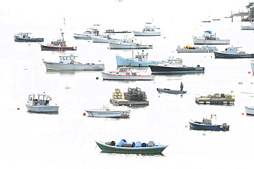 Fishing Fleet anchored in cove, Maine, New England, United States of America, North America