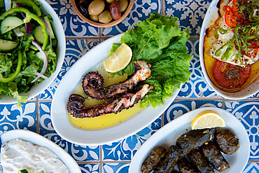 Octopus and other greek dishes, Ialyssos Beach, Rhodes, Dodecanese, Greek Islands, Greece, Europe