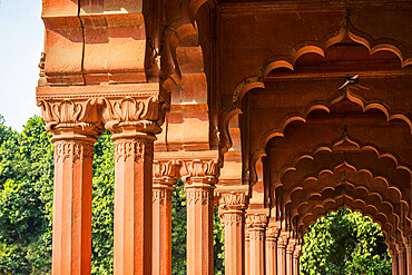 Diwan-i-Aam audience hall, Red Fort, UNESCO World Heritage Site, Delhi, India, Asia