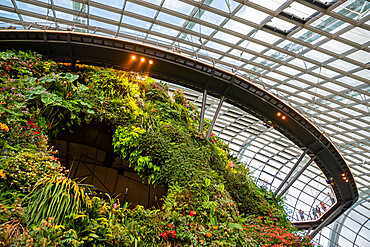 Cloud Forest, Gardens By The Bay, Singapore, Southeast Asia, Asia