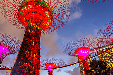 Cloud Forest, Gardens By The Bay, Singapore, Southeast Asia, Asia