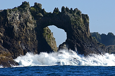 Farallon Islands, Great white shark diving paradise, San Francisco, California, United States of America