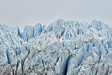 Brüggen Glacier, also known as Pío XI Glacier is the only advancing tidewater glacier in South America, Southern Patagonian, Chile