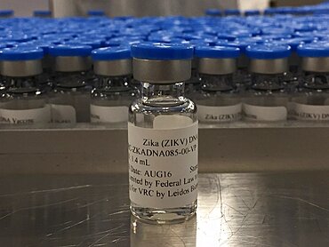 Vial of niaid zika virus investigational dna vaccine