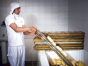 Cheese soaking in salt water at the Cheese Factory on the farm at Hacienda Zuleta, Imbabura, Ecuador, South America