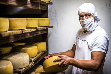 Portrait of a worker cleaning cheese while it matures at the cheese factory at Hacienda Zuleta, Imbabura, Ecuador, South America