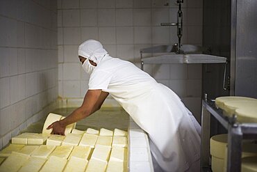 Cheese soaking in salt water at the Cheese Factory on the farm at Hacienda Zuleta, Imbabura, Ecuador, South America