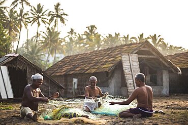 Fishermen mending fishing nets under tropical palm trees at sunrise at Kappil Beach, Varkala, Kerala, India