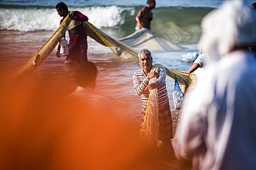 Fishermen pulling in enormous long fishing nets at Kappil Beach, Varkala, Kerala, India