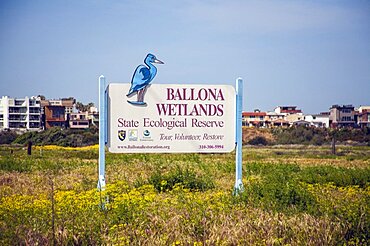 Ballona Wetlands with wildflowers, Playa Del Rey, Los Angeles